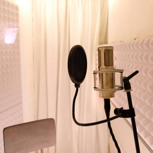 vocal chamber